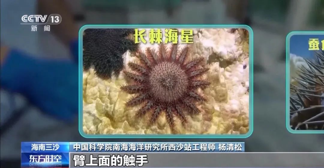 9图看海洋治理的中国方案