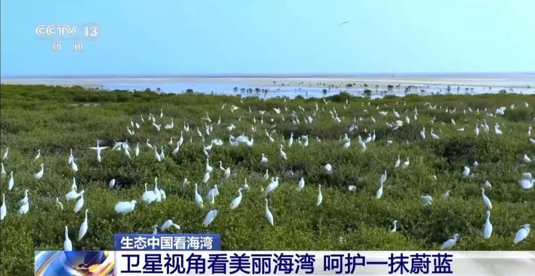 9图看海洋治理的中国方案