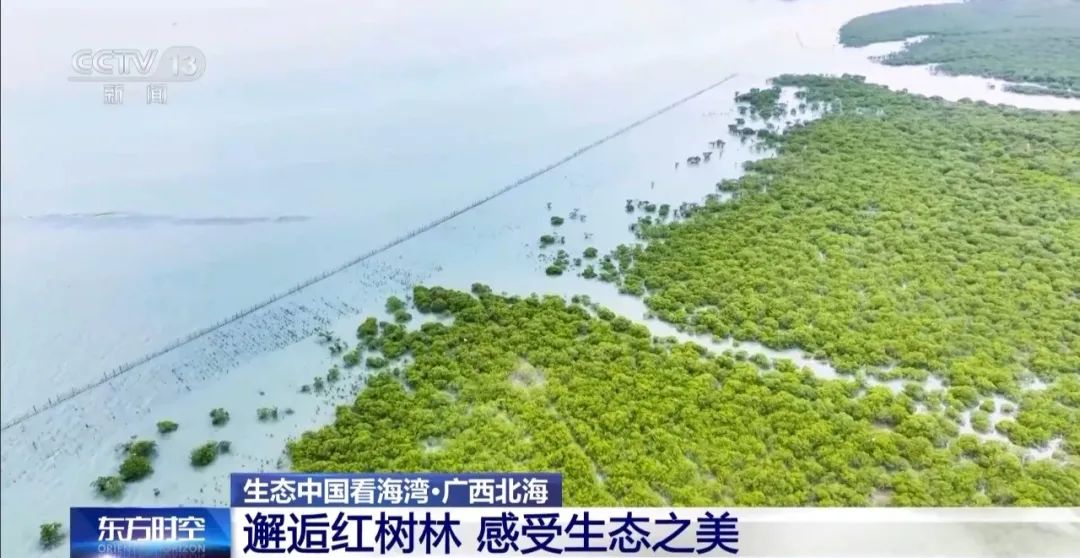 9图看海洋治理的中国方案