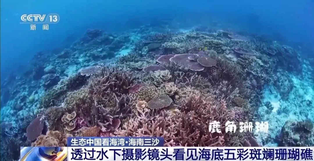 9图看海洋治理的中国方案