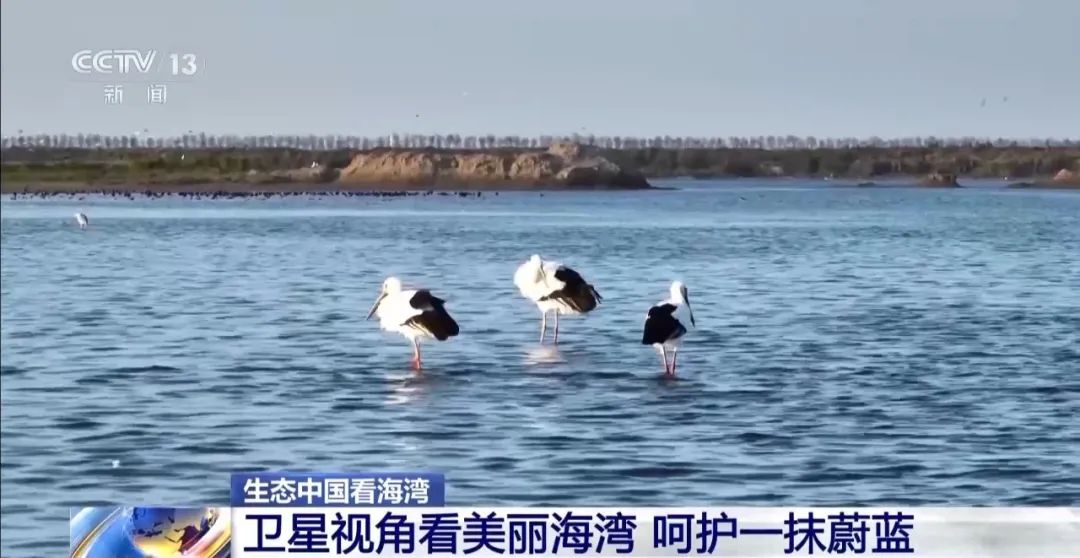 9图看海洋治理的中国方案