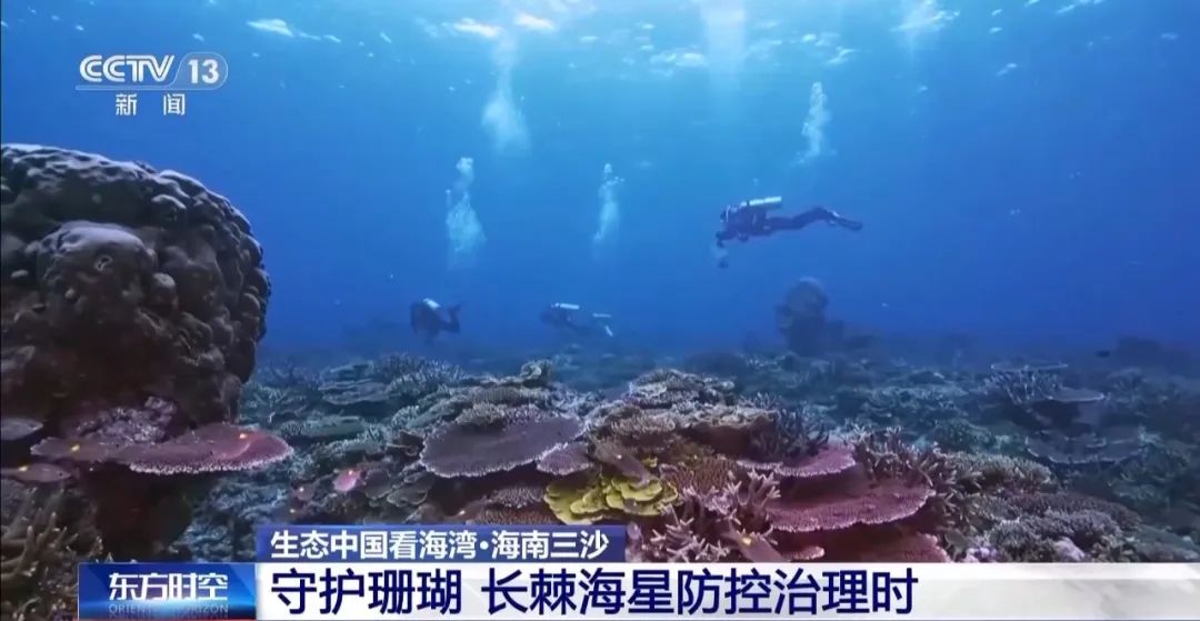 9图看海洋治理的中国方案