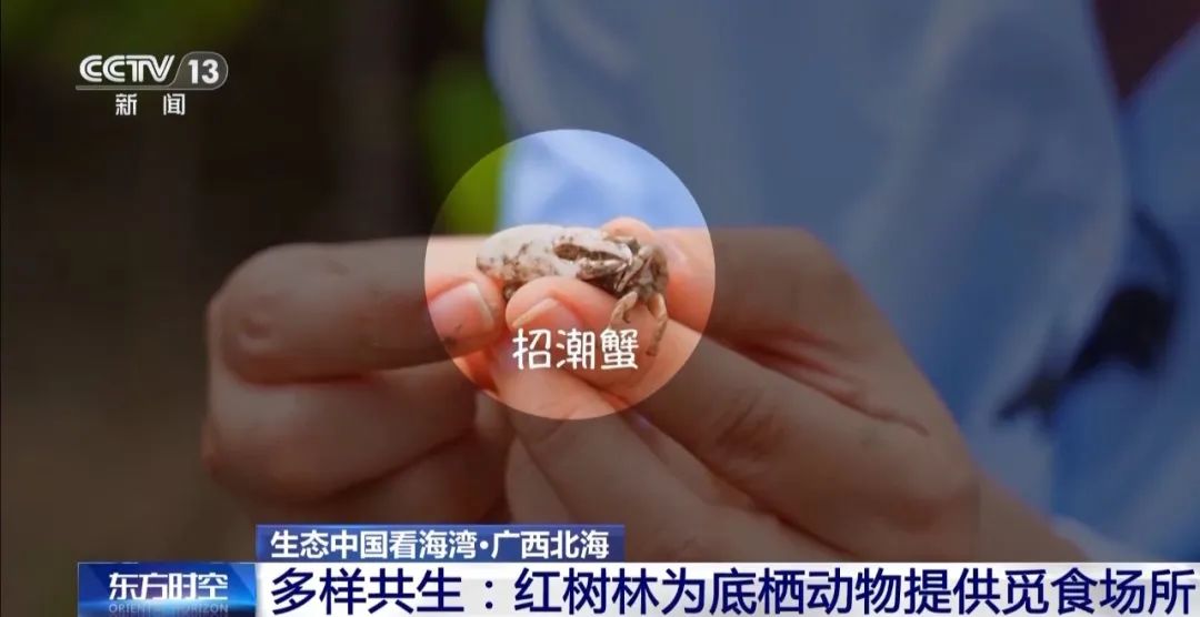 9图看海洋治理的中国方案