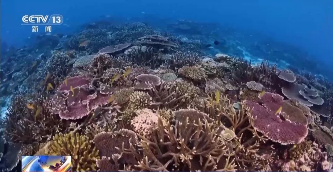 9图看海洋治理的中国方案