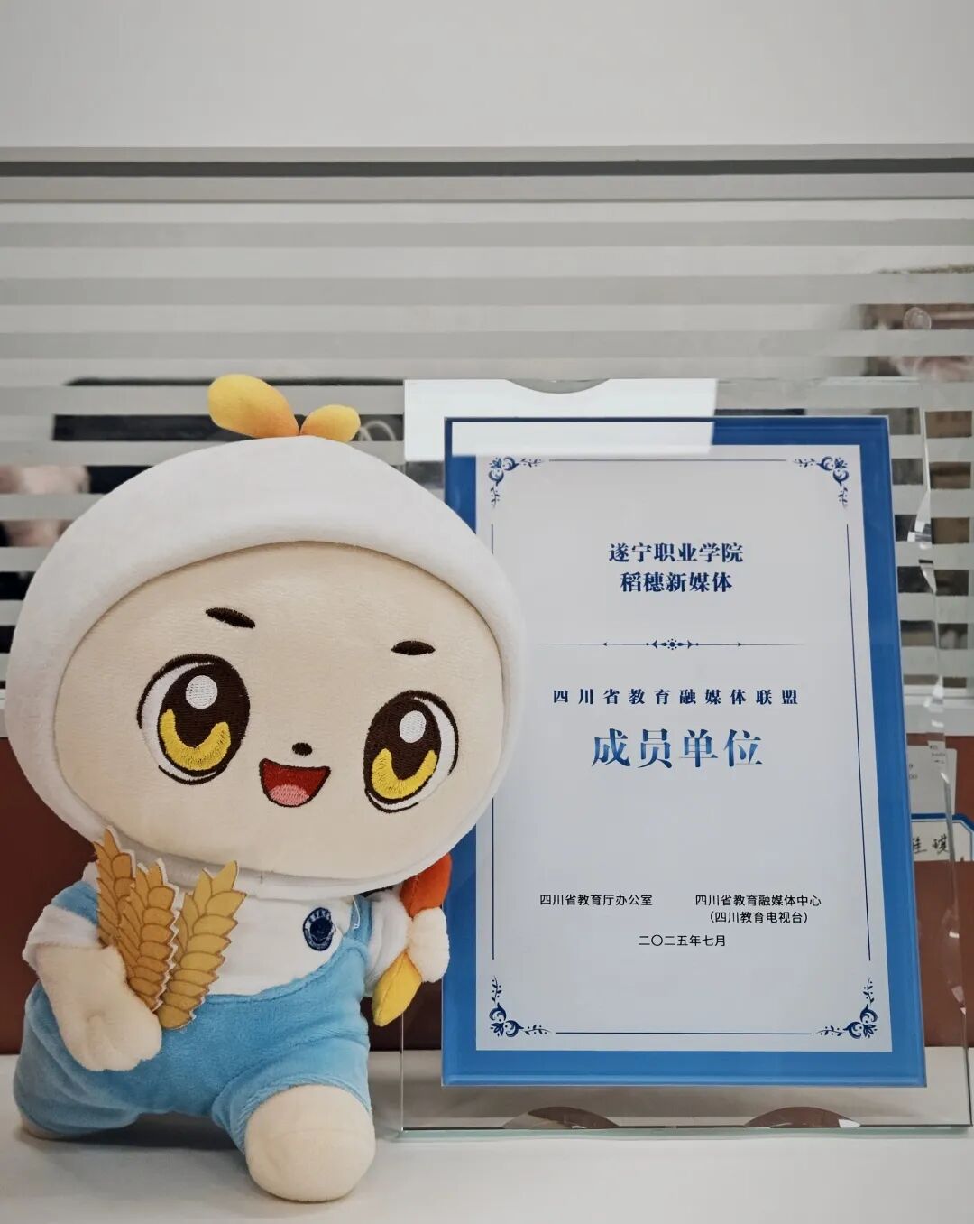 别划了！就等你来稻穗新媒体“整点新活儿”了！