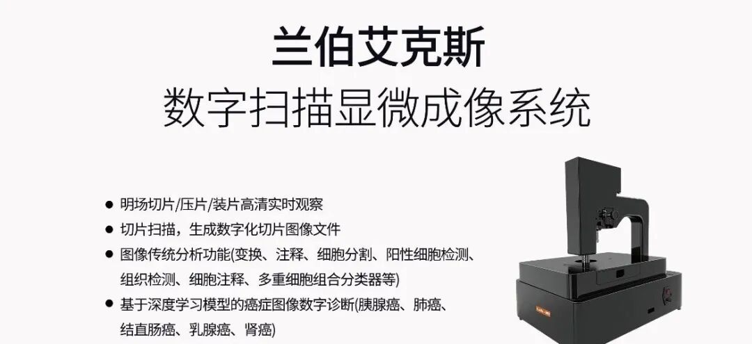 兰伯艾克斯丨数字扫描显微成像系统：精准洞察微观世界的利器