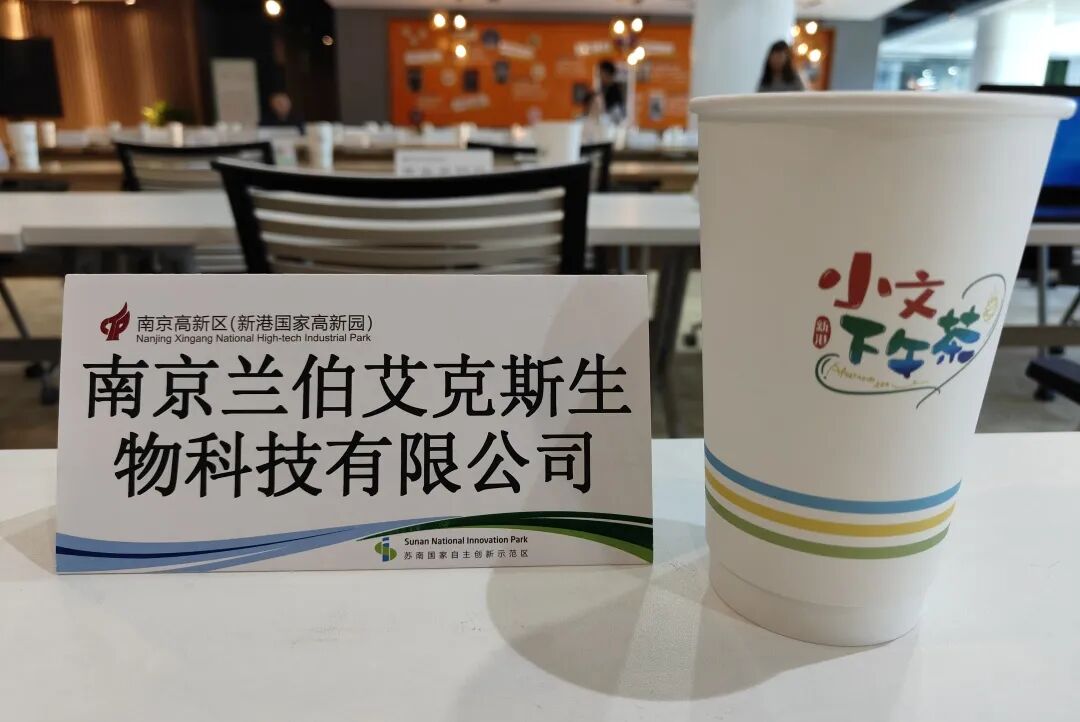 蘭伯艾克斯丨小文下午茶：攜手共航，助力企業(yè)出海新篇章！