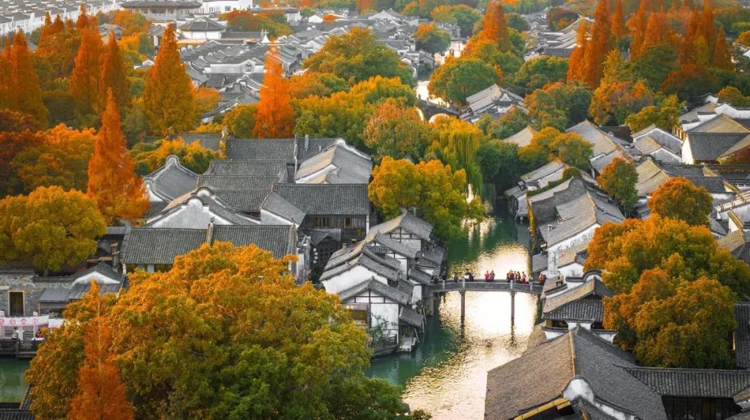 人民日报文章：共同推动构建网络空间命运共同体迈向新阶段——写在2024年世界互联网大会乌镇峰会开幕之际