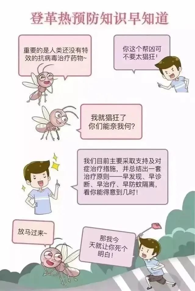 【预防疾病 守护健康】登革热防控知识宣传