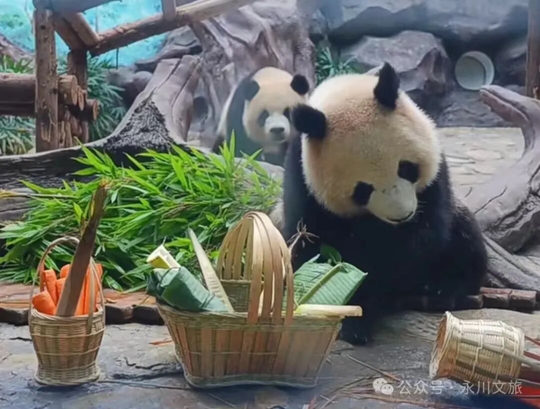 节目表演,进一步提升景区吸引力与体验感;茶山竹海开放星空露营基地