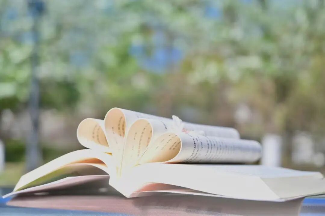 a3ca0fa88bcd9bb4145e8de57488480b.jpg