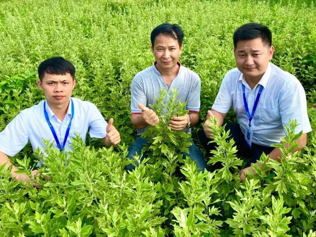 揭秘这家城商行将社区小微支行做到全国第三秘诀何在