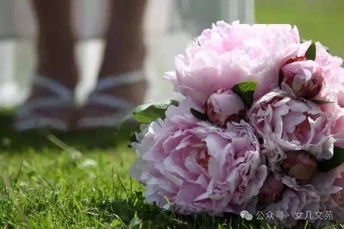 遇见你,是一种美丽的缘分