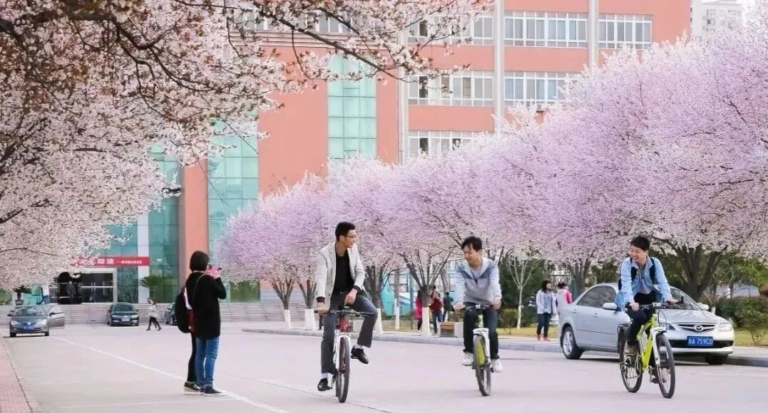 理科今年本科分數線_2024理科本科分數線_2021本科理科線