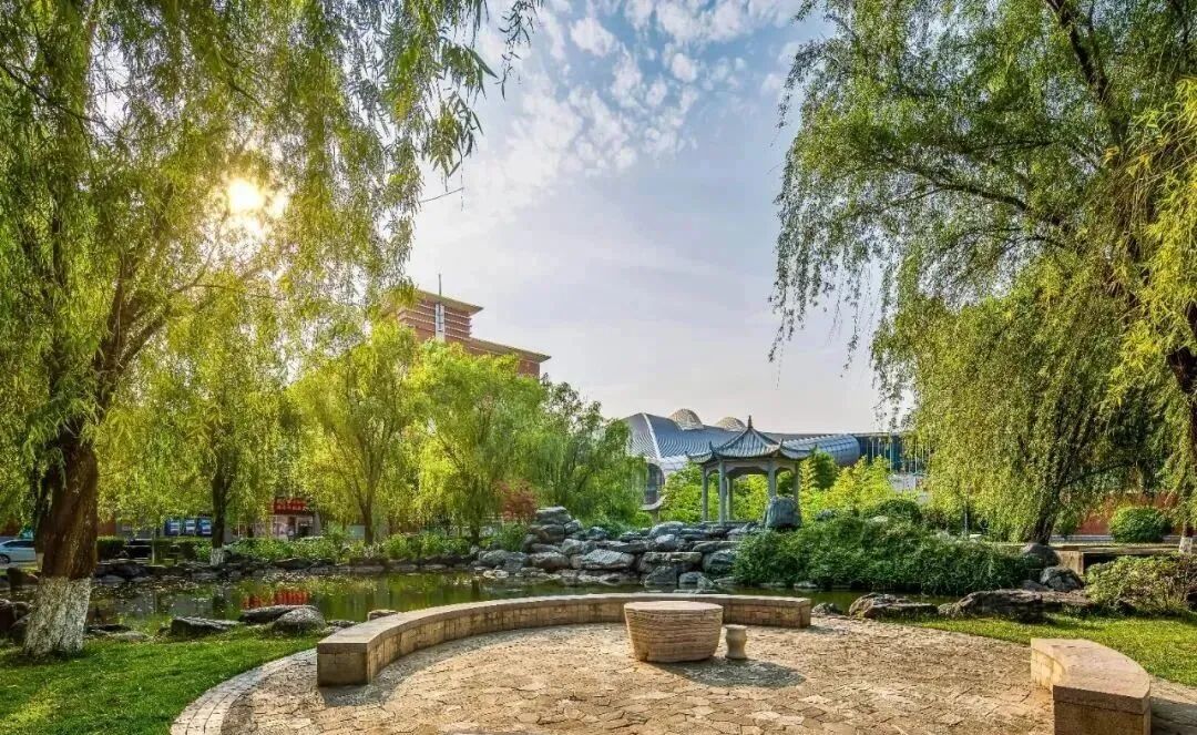 理科今年本科分數線_2024理科本科分數線_2021本科理科線