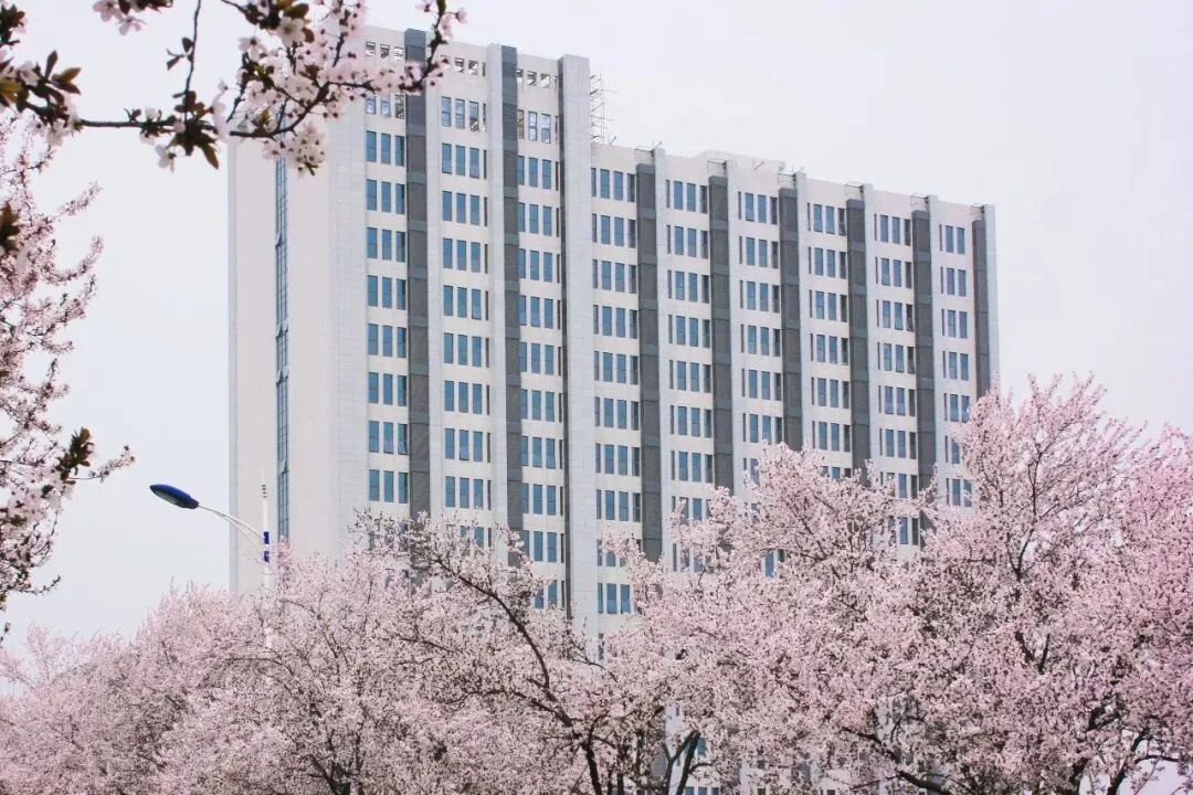 理科今年本科分數線_2021本科理科線_2024理科本科分數線