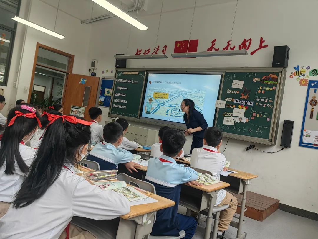 厦门金鹰学校图片