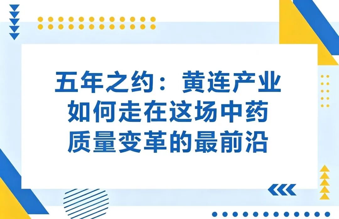 五年之约：黄连产业如何走在这场中药质量变革的最前沿