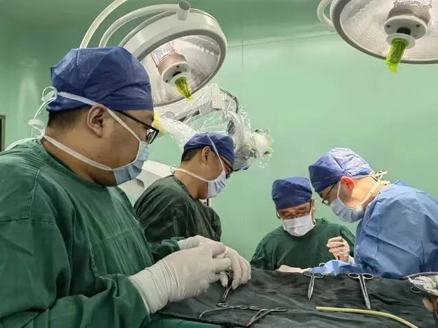 副主任医师副主任技师_主任医师和副主任医师哪个技术好_副主任医师和医师技术差别大吗