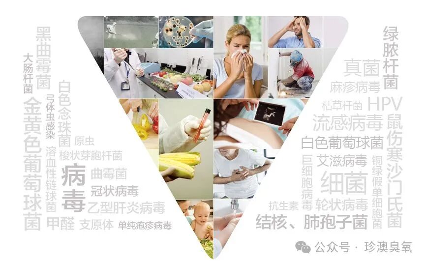 空气净化食品保鲜臭氧功效让你大开眼界