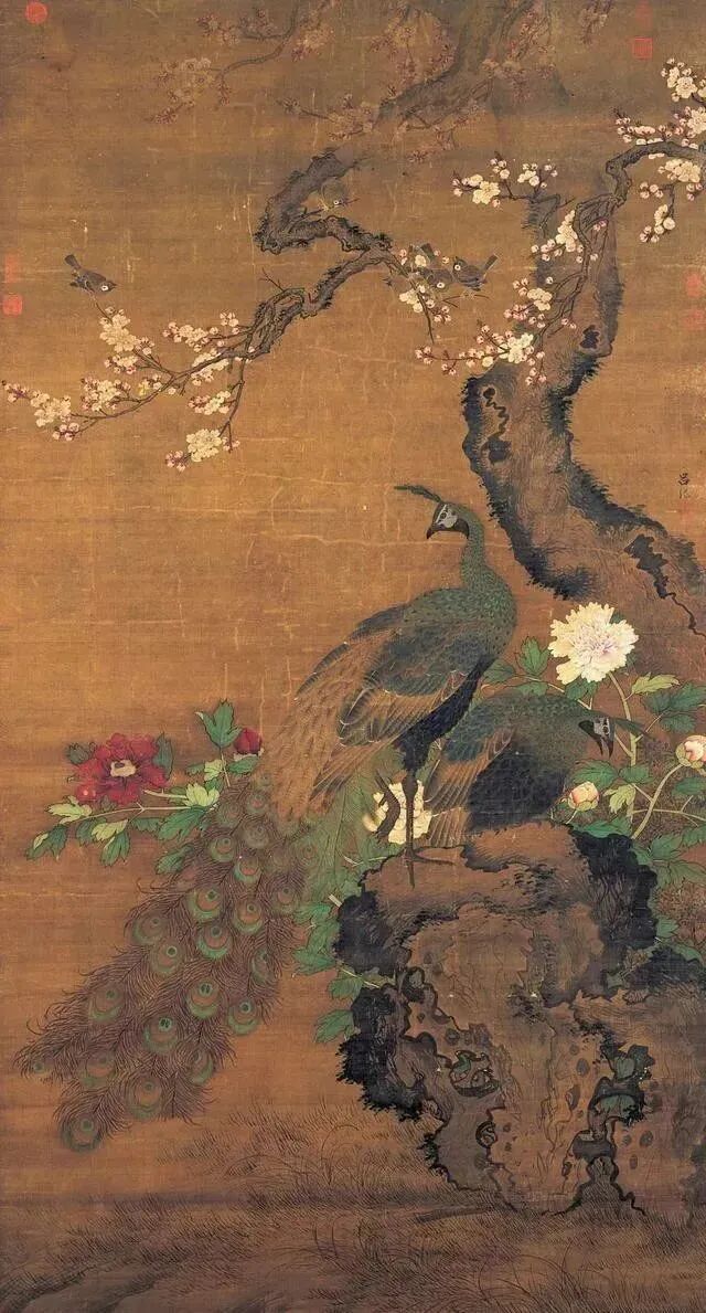 金马碧鸡天天念碧鸡是啥你可知