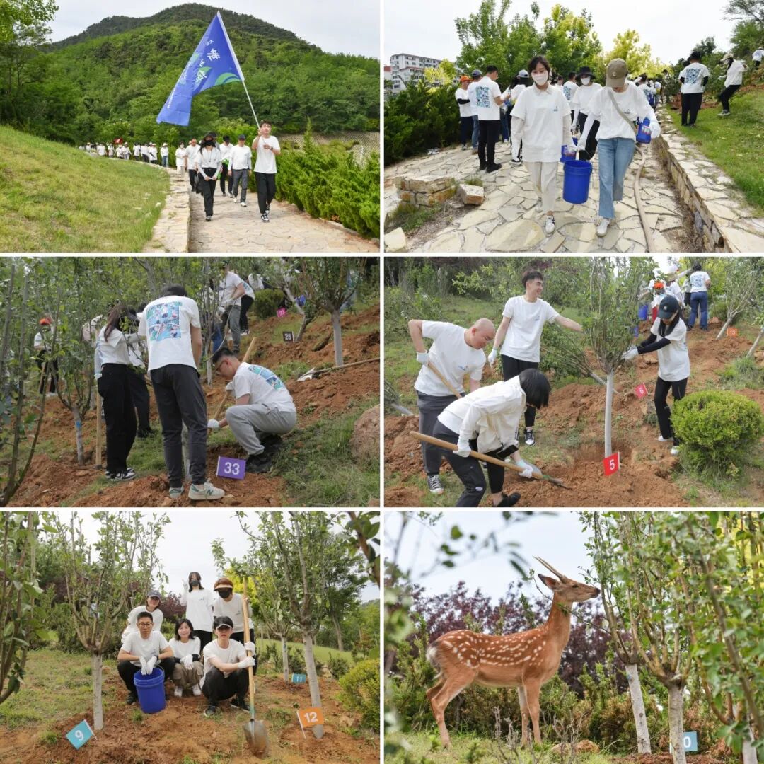 新芽翹首，綠動未來——大連板橋第二屆植樹活動順利續(xù)接