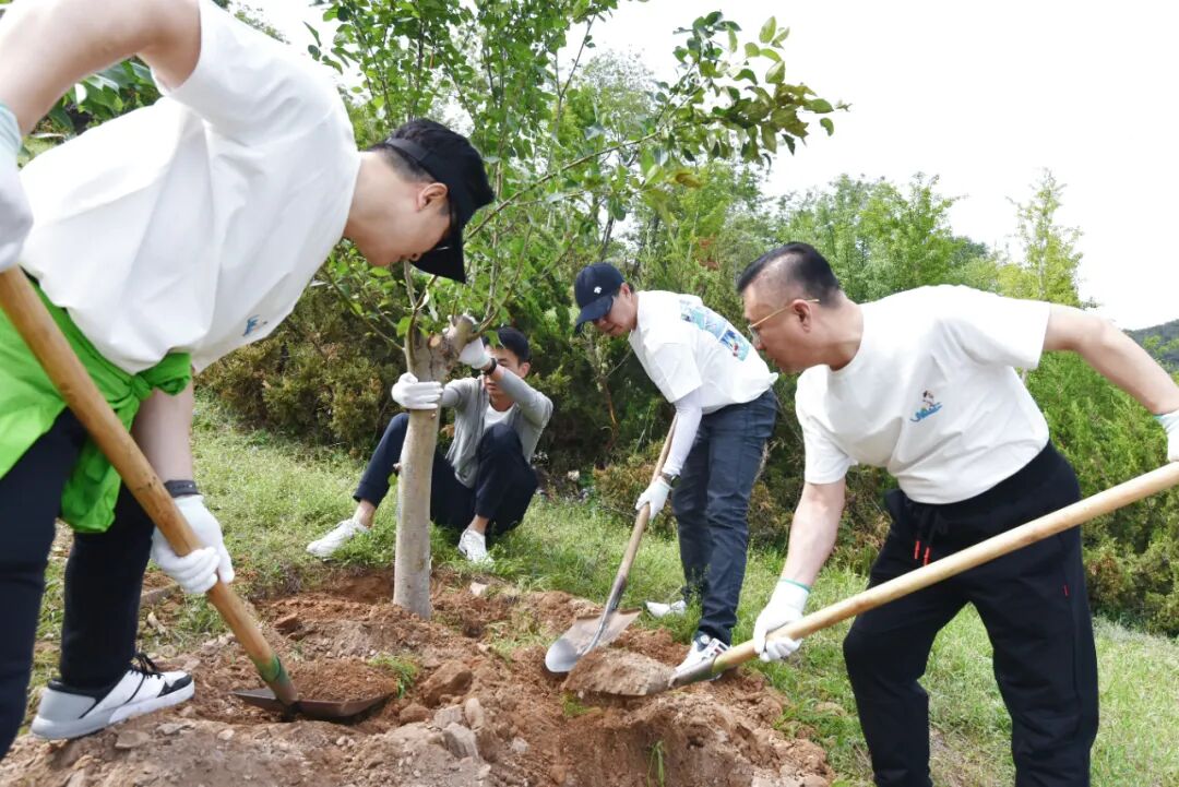 新芽翹首，綠動未來——大連板橋第二屆植樹活動順利續(xù)接