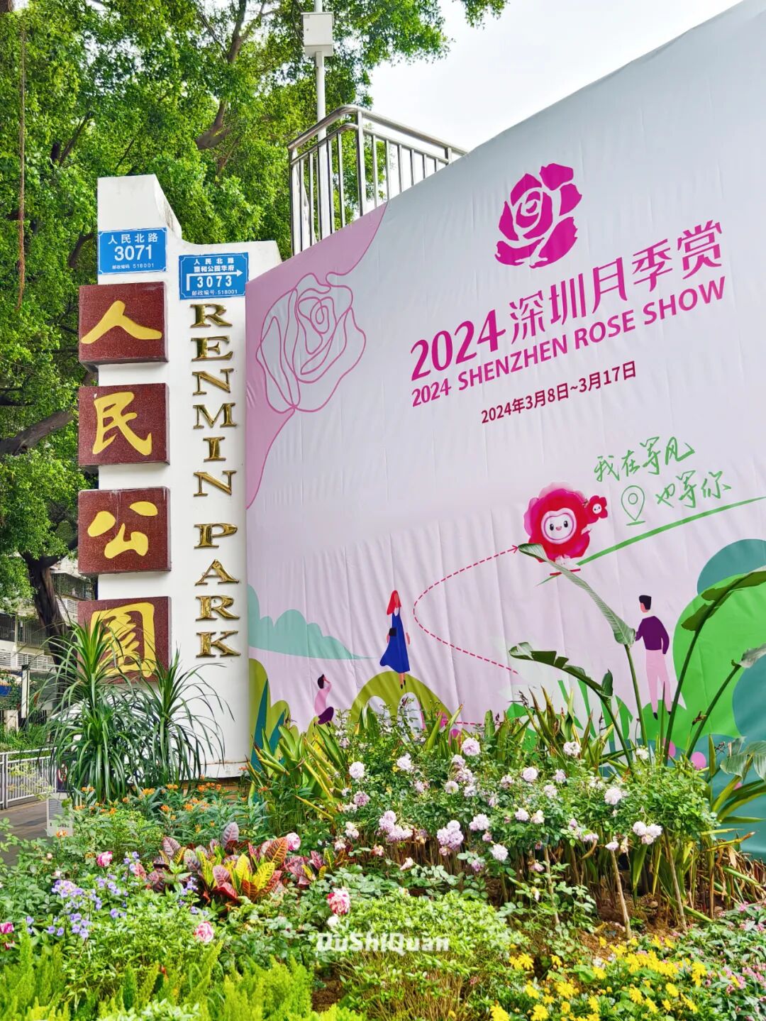 深圳最大规模月季花展开幕……这些「限制级」春日打卡点,必须冲!