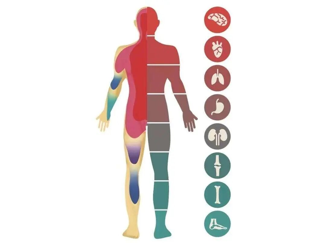 医用红外热像仪怎么开机零辐射，绿色体检－－红外热像检查，让中医可视化！_https://www.jmylbn.com_新闻资讯_第6张