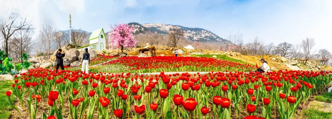 迎省运 上春山 万名登山爱好者齐聚天蒙 共赴春日山水之约