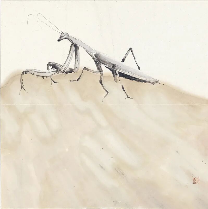 艺术家推荐丨赵方方ZHAOFANGFANG(图23)