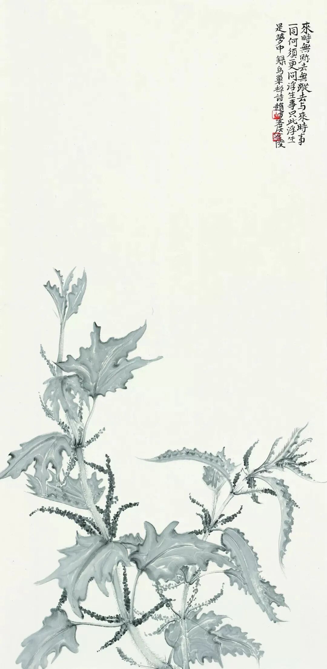 艺术家推荐丨赵方方ZHAOFANGFANG(图22)