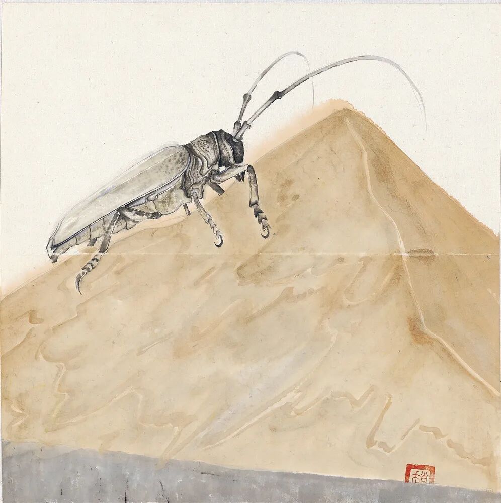 艺术家推荐丨赵方方ZHAOFANGFANG(图14)