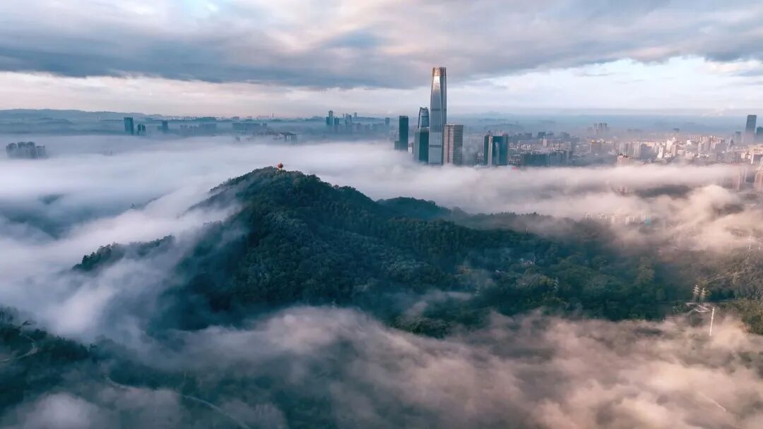 9e55538a4mfd1ea946ba45be5becd897