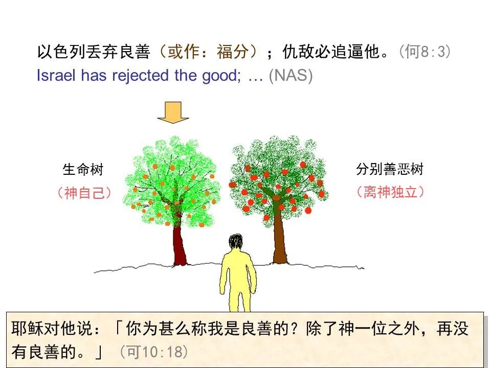 圣经图表——《何西阿书》(图26)