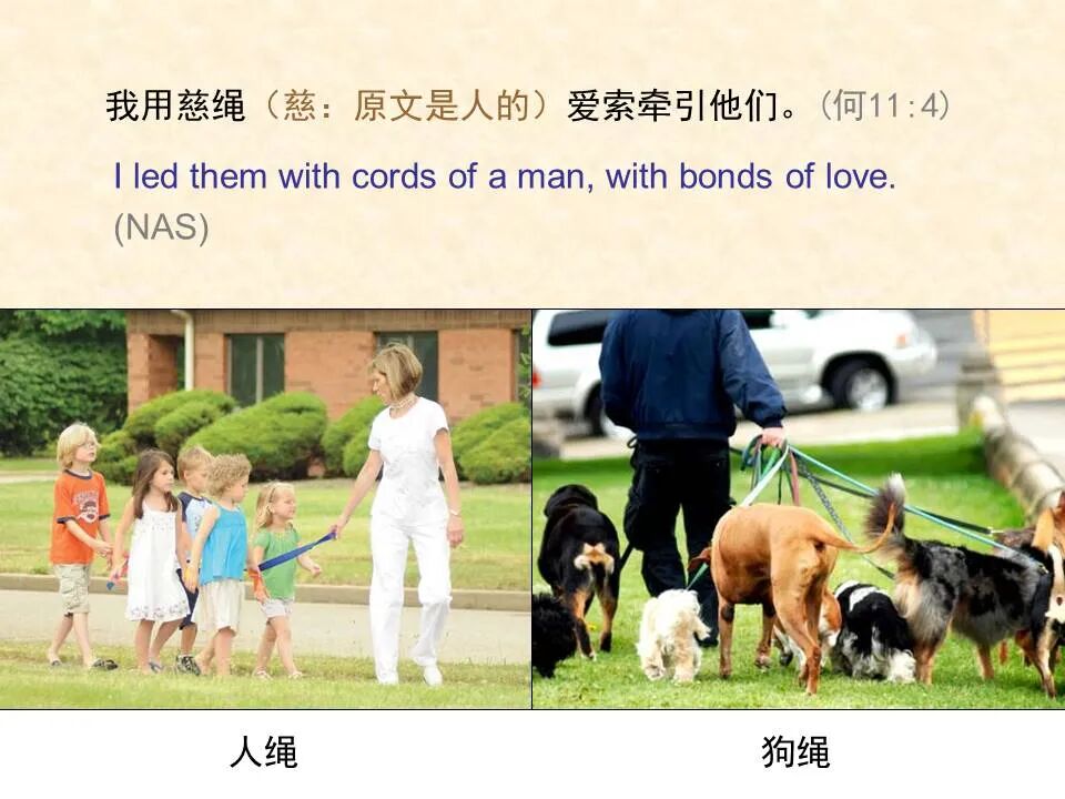 圣经图表——《何西阿书》(图40)