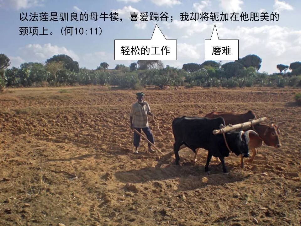 圣经图表——《何西阿书》(图36)