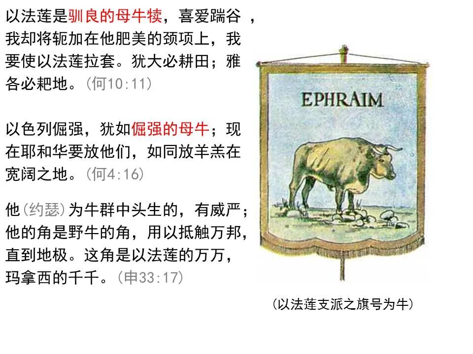 圣经图表——《何西阿书》(图29)