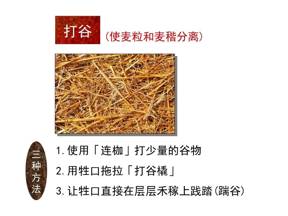 圣经图表——《何西阿书》(图31)