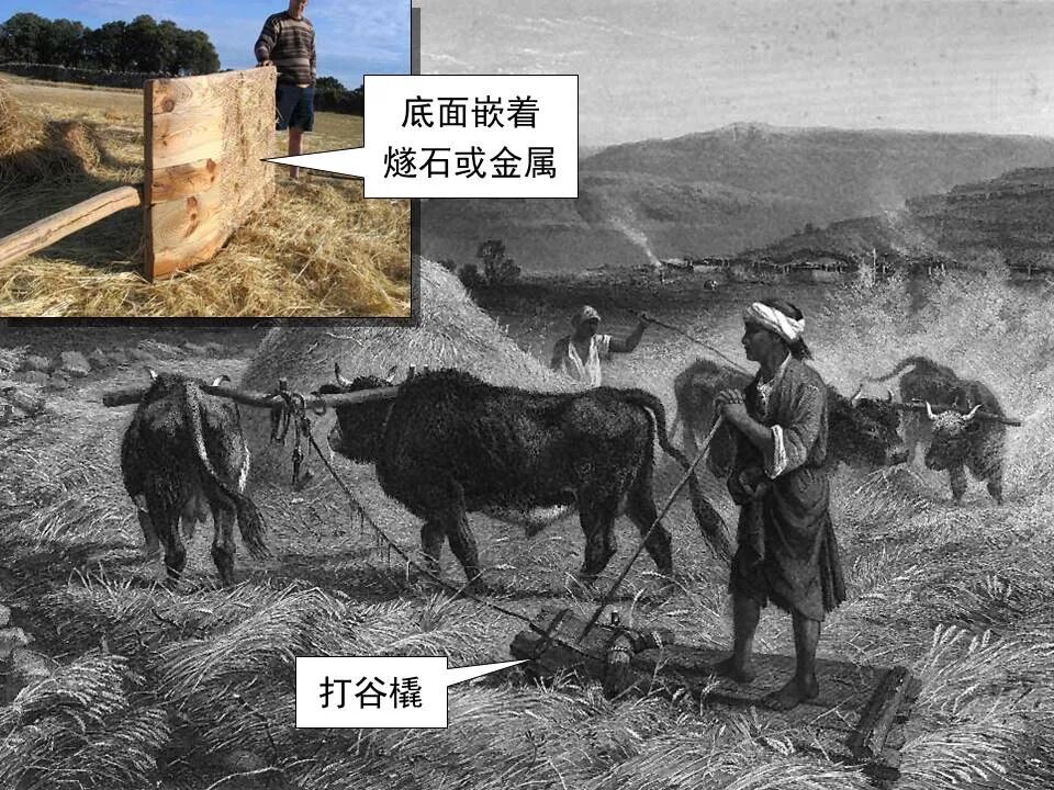 圣经图表——《何西阿书》(图32)