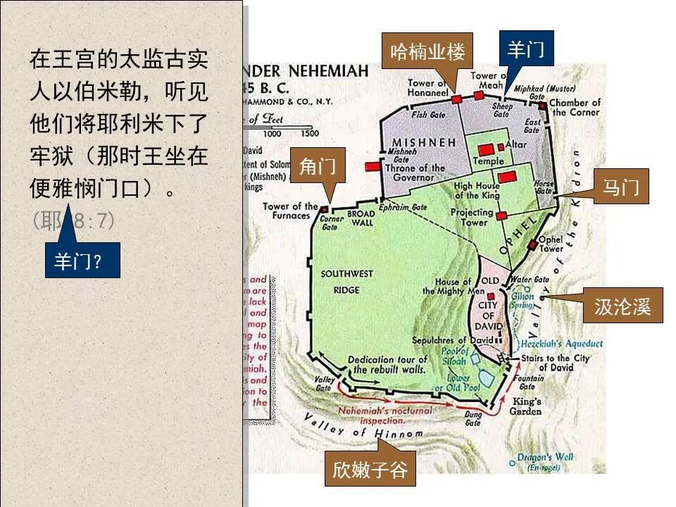 圣经图表——《耶利米书》下(图29)