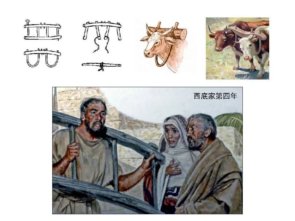 圣经图表——《耶利米书》下(图6)