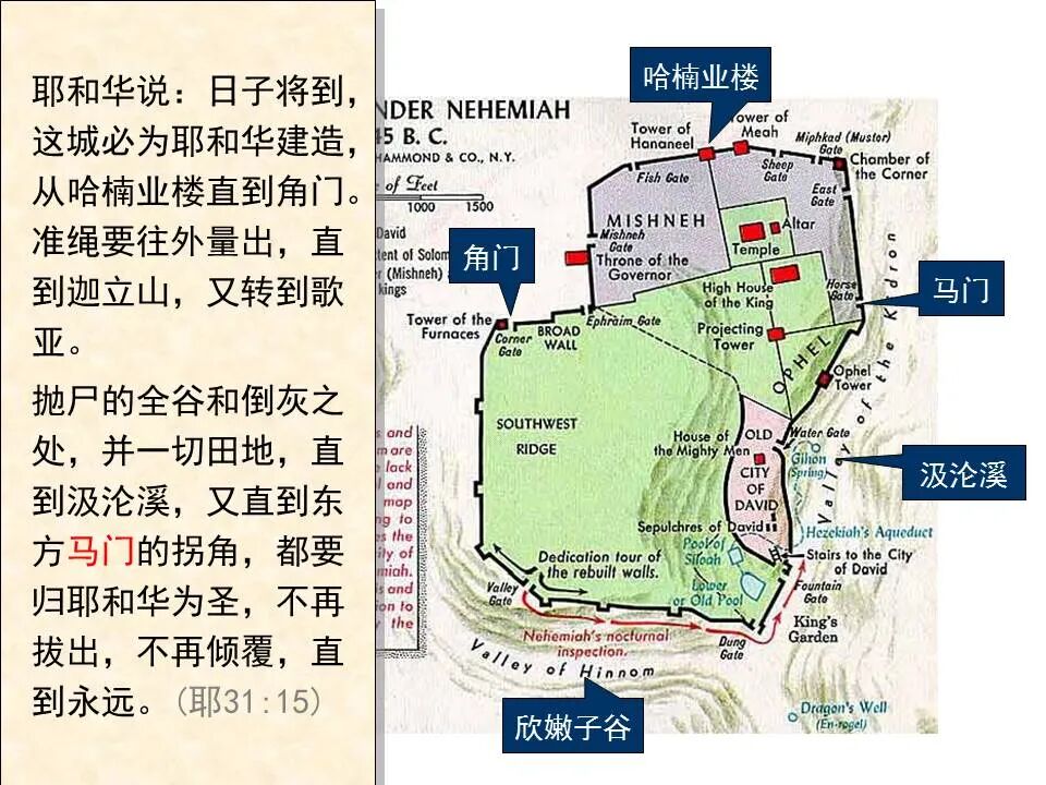 圣经图表——《耶利米书》下(图22)