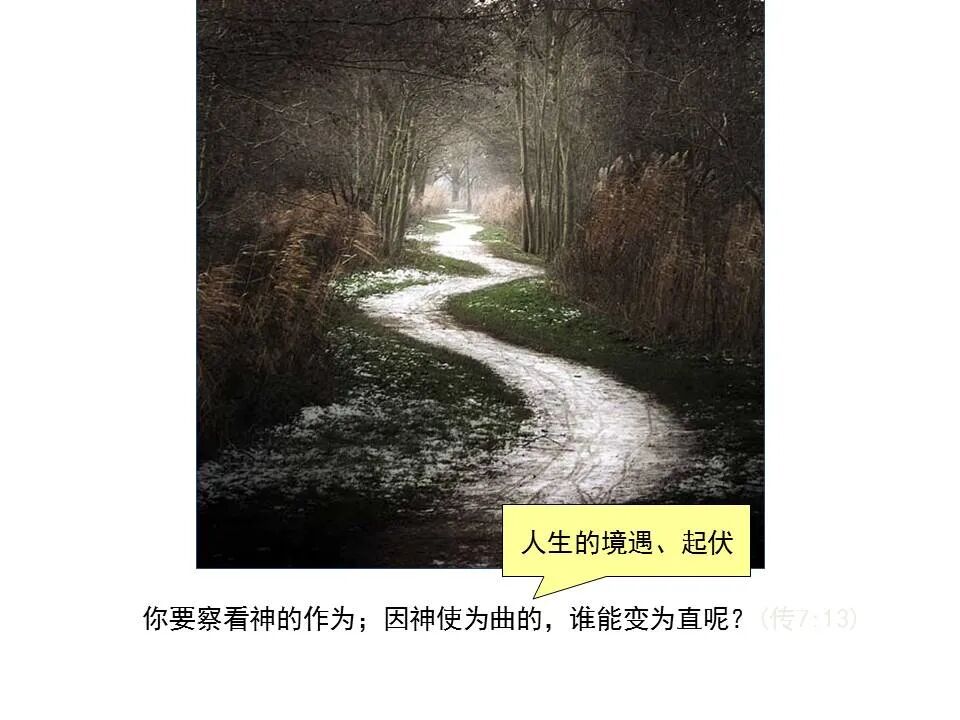 圣经图表——《传道书》(图13)