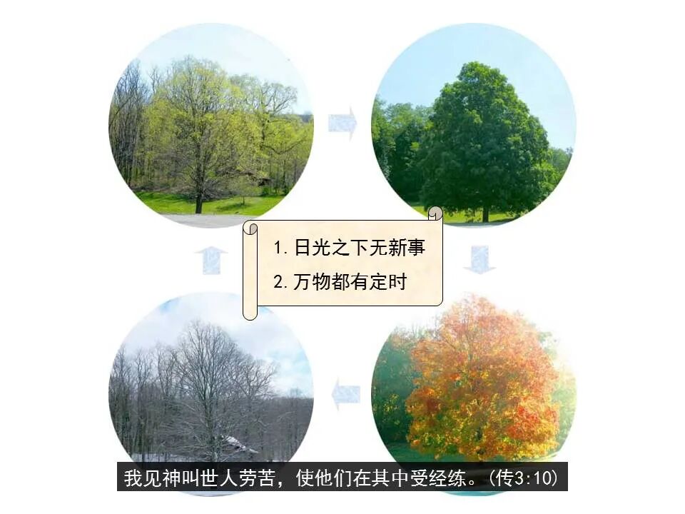 圣经图表——《传道书》(图6)