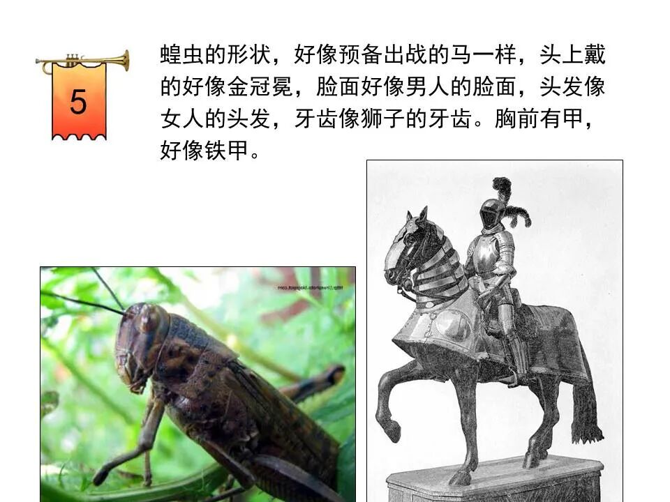 圣经图表——《启示录》中(图50)