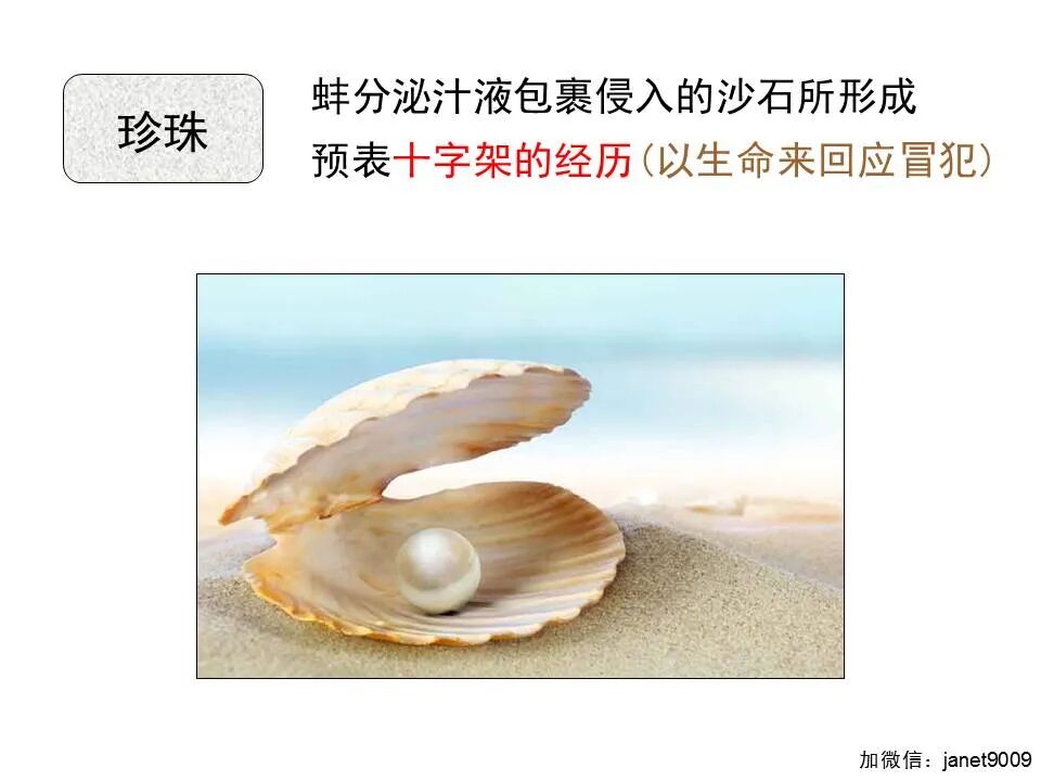 圣经图表——《启示录》下(图91)