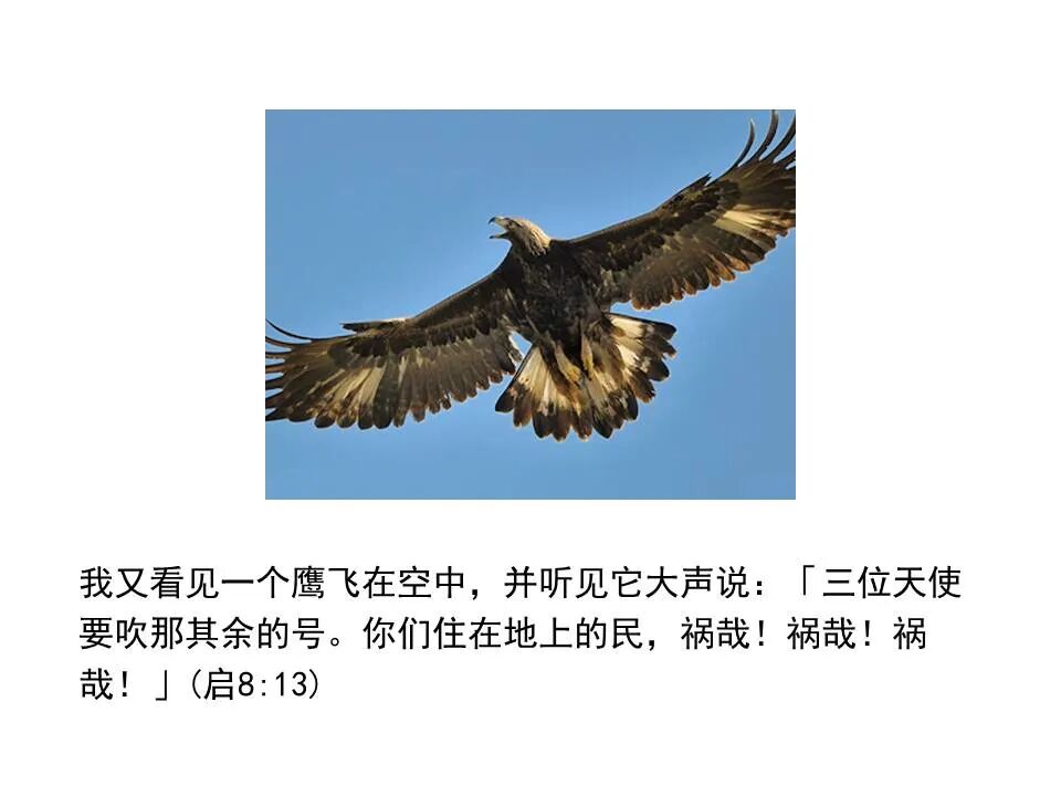 圣经图表——《启示录》中(图47)