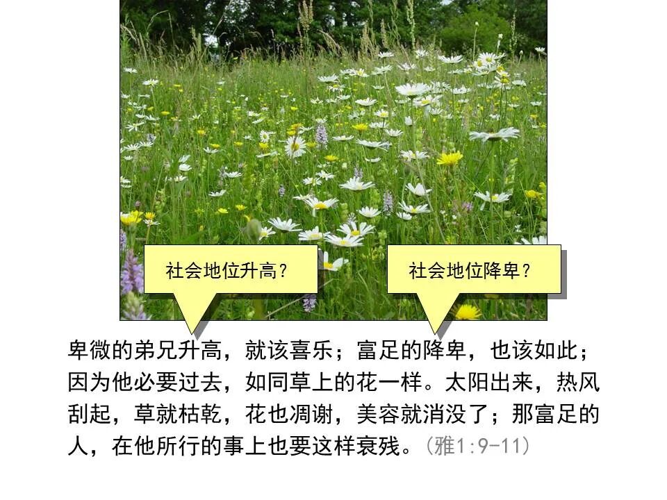 圣经图表——《雅各书》(图19)