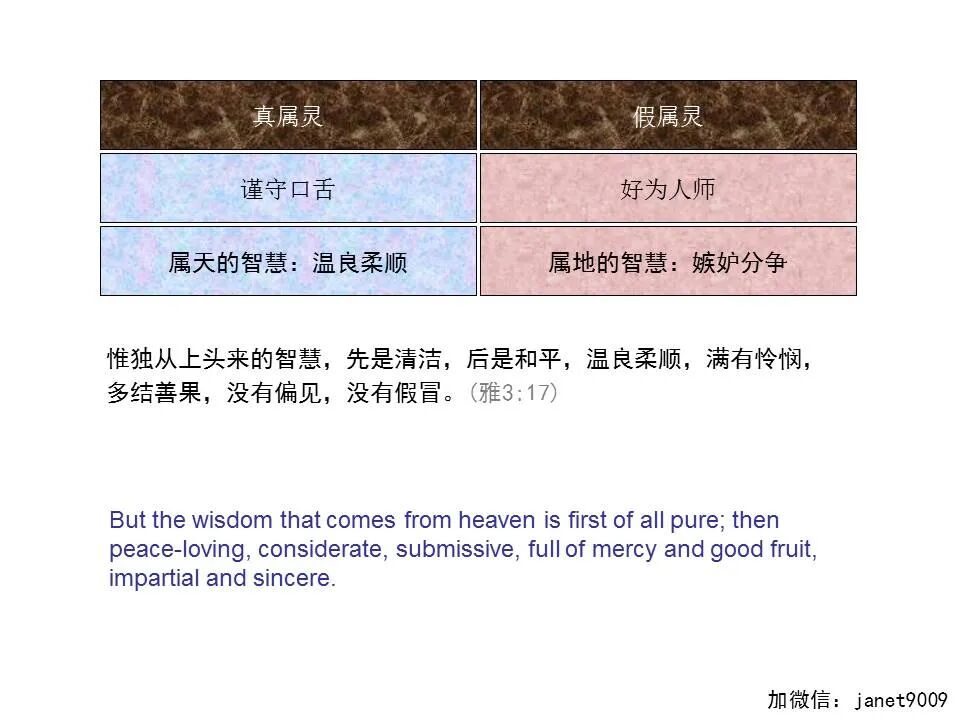 圣经图表——《雅各书》(图73)